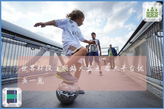 世界杯投注网站大盘点 各大平台优劣一览