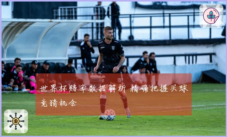 世界杯赔率数据解析 精确把握买球竞猜机会