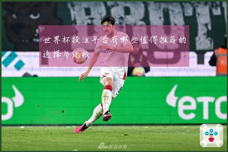 世界杯投注平台有哪些值得推荐的选择与比较