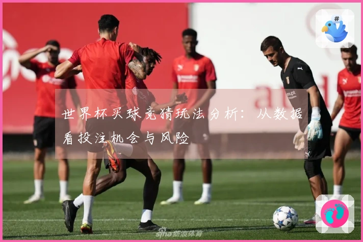 世界杯买球竞猜玩法分析：从数据看投注机会与风险