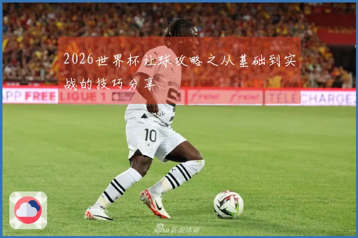 2026世界杯让球攻略之从基础到实战的技巧分享