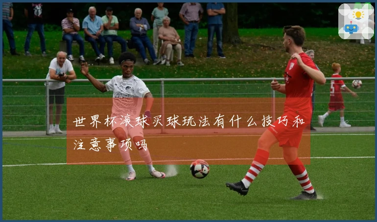 世界杯滚球买球玩法有什么技巧和注意事项吗