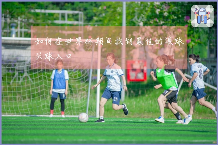 如何在世界杯期间找到最佳的滚球买球入口