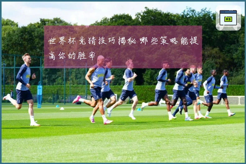 世界杯竞猜技巧揭秘 哪些策略能提高你的胜率