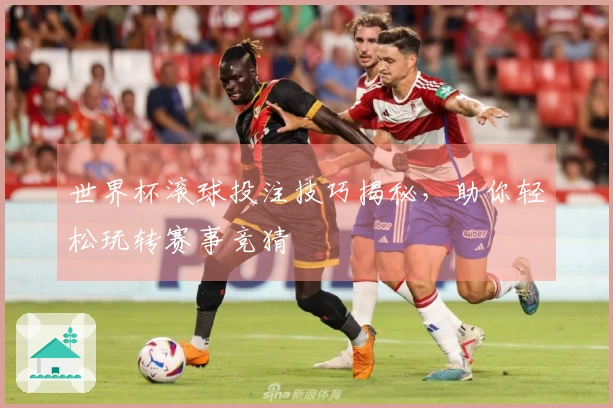 世界杯滚球投注技巧揭秘，助你轻松玩转赛事竞猜