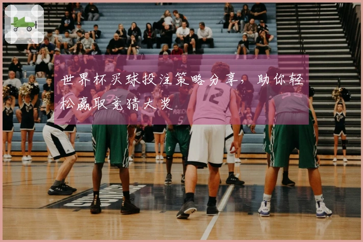 世界杯买球投注策略分享，助你轻松赢取竞猜大奖