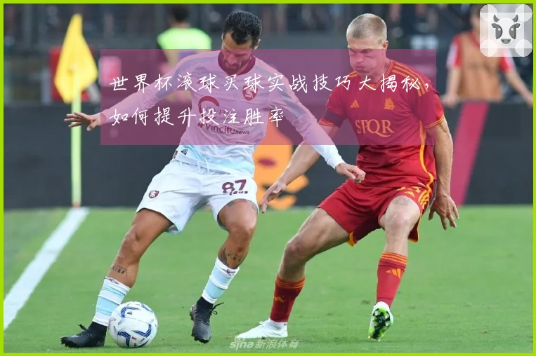 世界杯滚球买球实战技巧大揭秘，如何提升投注胜率