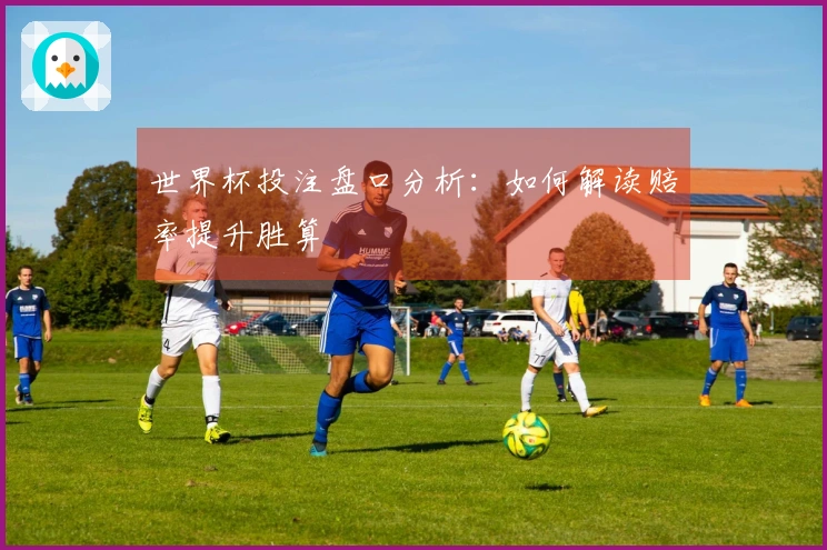 世界杯投注盘口分析：如何解读赔率提升胜算