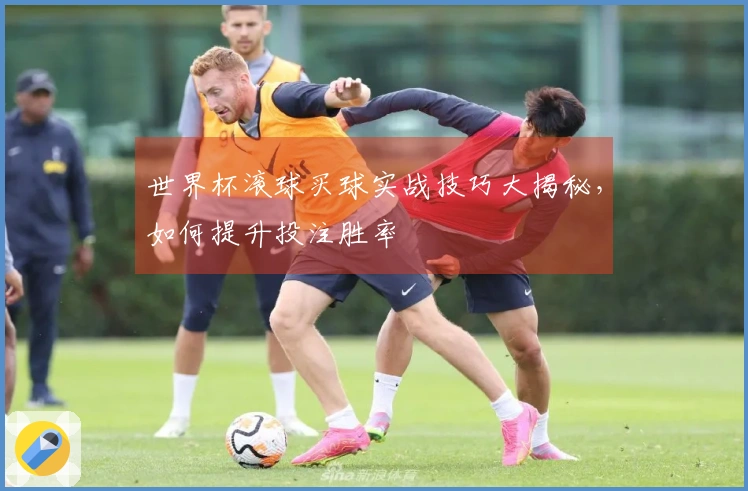 世界杯滚球买球实战技巧大揭秘，如何提升投注胜率