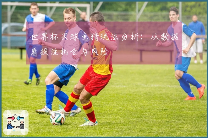 世界杯买球竞猜玩法分析：从数据看投注机会与风险