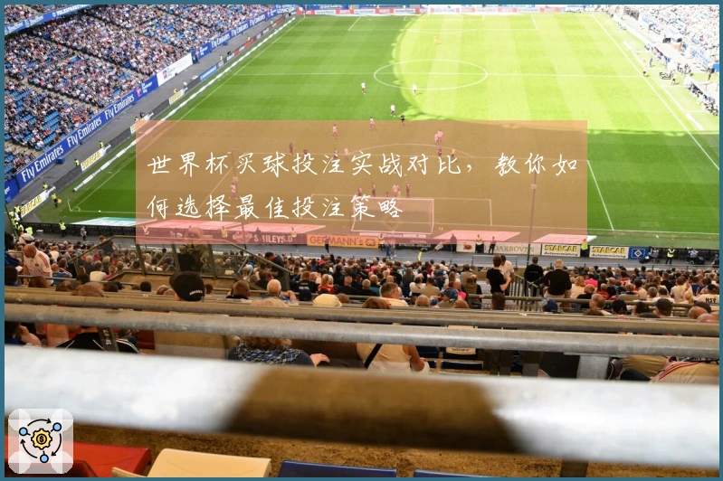 世界杯买球投注实战对比，教你如何选择最佳投注策略