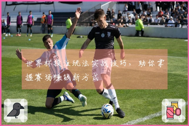 世界杯投注玩法实战技巧，助你掌握赛场赚钱新方式