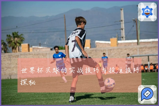 世界杯买球的实战技巧与投注技巧探秘